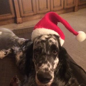 Meet your Posher, Joanne